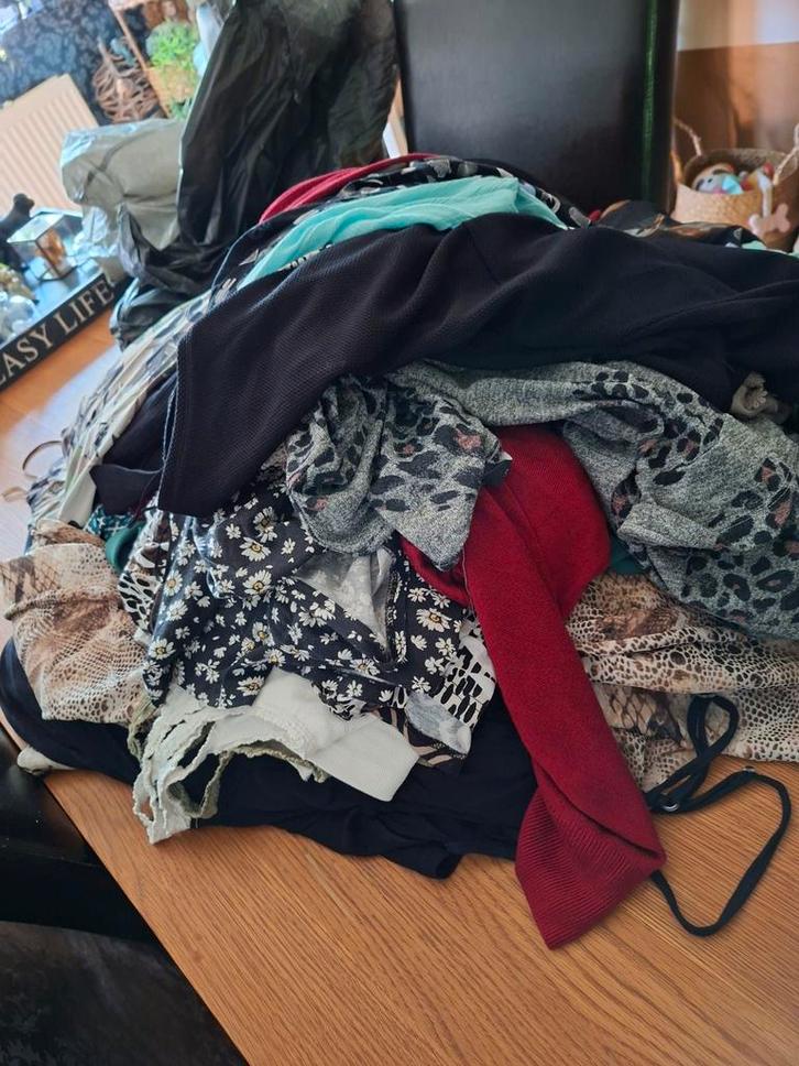 Dameskleding grote maten - Partij, Kleding | Dames, Grote Maten, Gedragen, Overige kleuren, Ophalen