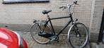 Giant Brisbane Herenfiets, Fietsen en Brommers, 57 tot 61 cm, Ophalen of Verzenden, Gebruikt, Giant