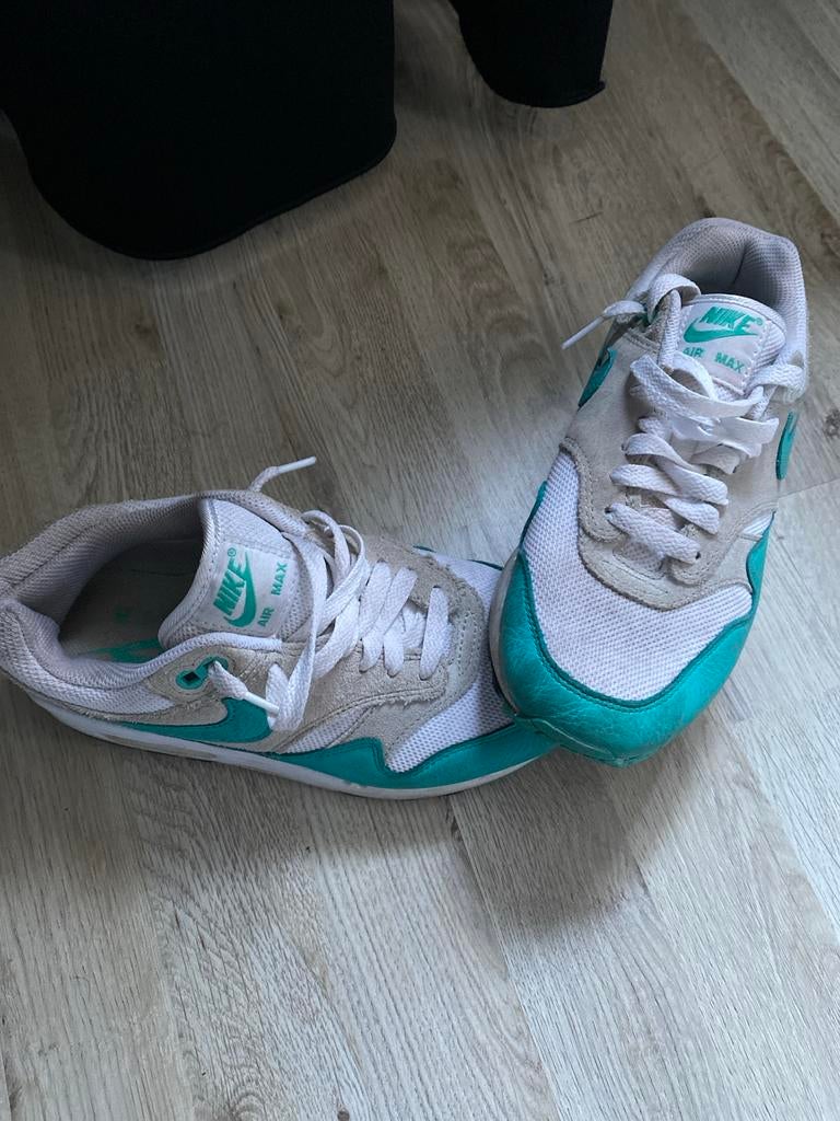 Nike Air Max 1 - Maat 37.5, Kleding | Dames, Schoenen, Ophalen, Overige kleuren, Nike, Sneakers of Gympen