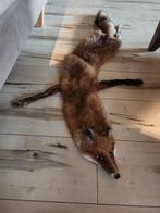 Mooie opgezette vos - intact!, Ophalen of Verzenden