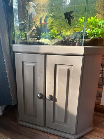 Aquarium beschikbaar voor biedingen