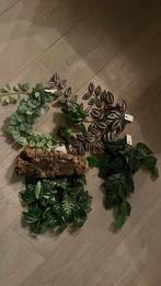 Diverse kunststof planten voor inrichting terrarium., Dieren en Toebehoren, Reptielen en Amfibieën | Toebehoren, Ophalen of Verzenden