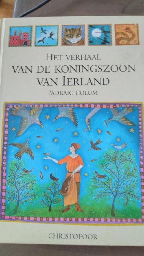 Jeugdboek De koningszoon van Ierland, Boeken, Kinderboeken | Jeugd | 10 tot 12 jaar, Nieuw, Ophalen of Verzenden