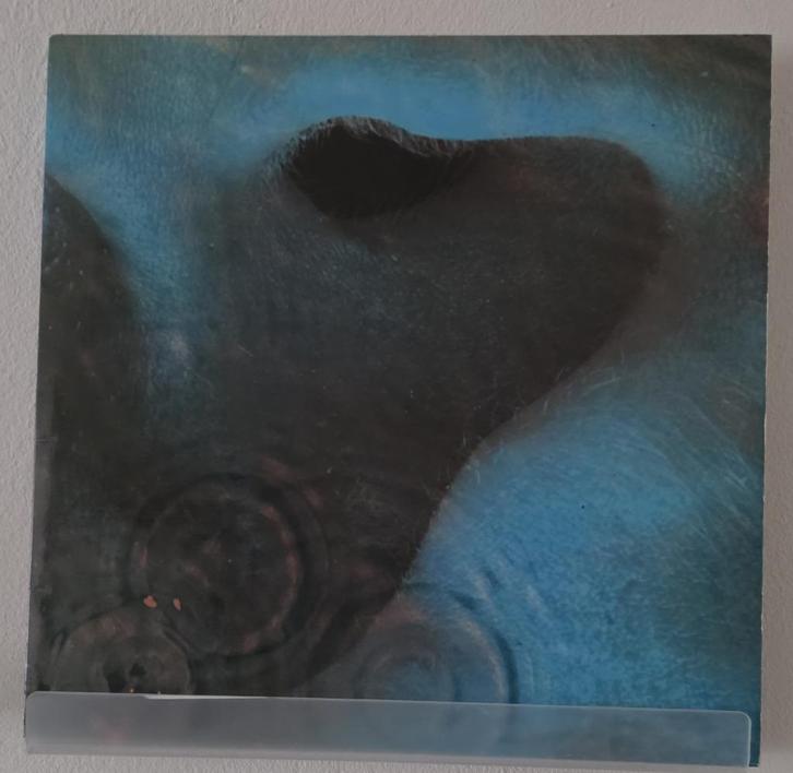 Pink Floyd – Meddle, Cd's en Dvd's, Vinyl | Rock, Poprock, Overige formaten, Verzenden