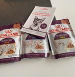 Kattenvoeding, 3 zakjes Royal Canin, Dieren en Toebehoren, Ophalen of Verzenden, Kat