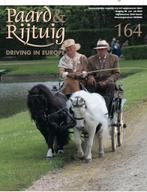 GEZOCHT goed betuigde pony 100 -108 cm. RUIN  Verkeersmak, Dieren en Toebehoren, Pony's, Ruin, A pony (tot 1.17m), Gechipt