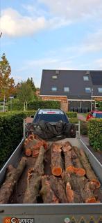 Draaihout taxus, Hobby en Vrije tijd, Overige Hobby en Vrije tijd, Ophalen