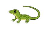 Voedseldieren voor Reptielen!, Dieren en Toebehoren, Reptielen en Amfibieën | Toebehoren, Ophalen, Anthonie fokkerstraat 57P, De Reptielenboer