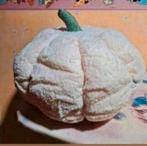 Mooi kussen doorsnede ruim 28 cm. Nieuw, Ophalen of Verzenden, Nieuw, Beige, Rond