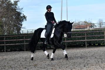 ## SUPER KNAPPE EN FIJNE MURGESE RUIN ## beschikbaar voor biedingen