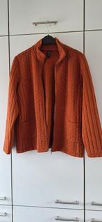 Signature Blazer, Kleding | Dames, Grote Maten, Oranje, Ophalen of Verzenden, Zo goed als nieuw, Signature