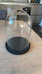 Glazen stolp, Ophalen of Verzenden, Nieuw