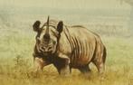 Safari-Kenya neushoorn original aquarel Daniel Njorogo 1988, Antiek en Kunst, Kunst | Schilderijen | Klassiek, Ophalen