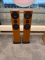 Linn Ninka speakers incl. 2x LK85 eindversterkers, Overige merken, Ophalen of Verzenden, Zo goed als nieuw, 60 tot 120 watt