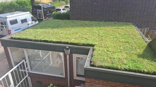 Groendak maak het zelf met Sedum matten pakket of cassettes, Tuin en Terras, Planten | Tuinplanten, Volle zon, Zomer, Ophalen of Verzenden