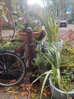 Amsterdammertje - Decoratief Paaltje, Ophalen of Verzenden, Gebruikt, Metaal, Overige typen