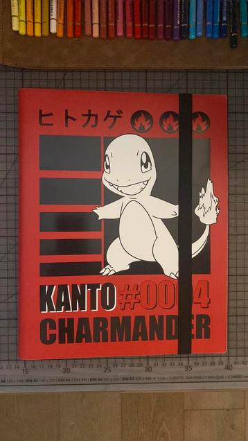 Pokemon PRO binder 9 pocket TCG beschikbaar voor biedingen