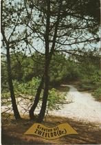 ZWEELOO Bosgezicht Groeten, Verzamelen, Ansichtkaarten | Nederland, Verzenden, 1980 tot heden, Gelopen, Drenthe