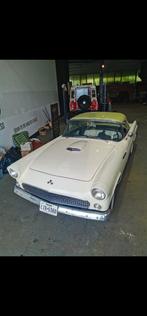 Ford Thunderbird 1955 V8 Texas Import, Particulier, Te koop