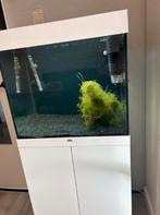 juwel lido 120 met onderkast wit glans, Dieren en Toebehoren, Ophalen, Zo goed als nieuw, Leeg aquarium
