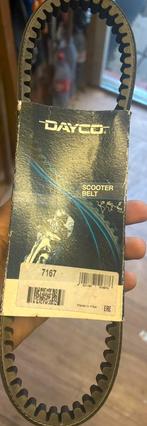 Nieuw - Scooter Dayco v snaar, Ophalen of Verzenden, Nieuw, Overige typen, Overige merken