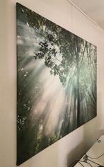 Ikea foto Björksta: zonlicht door de bomen op canvas, Antiek en Kunst, Kunst | Schilderijen | Abstract, Ophalen