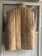 Scania Bodywarmer XXL, Ophalen of Verzenden, Zo goed als nieuw, Overige maten, Beige