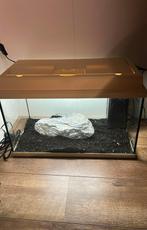 Te koop super mooi Aquarium Juwel Monolux 60x30x30, Dieren en Toebehoren, Vissen | Aquaria en Toebehoren, Ophalen, Zo goed als nieuw