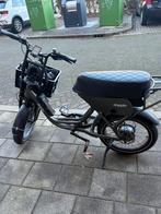 Doppio Classic Fatbike, 59 cm of meer, Ophalen, Zo goed als nieuw, Overige merken