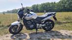 Honda CBF600 NA, Motoren, 4 cilinders, Motorrijbewijs A, Particulier, Meer dan 35 kW