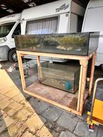 Diverse koraaleilanden voor zeewateraquarium en XXL sump, Dieren en Toebehoren, Vissen | Aquaria en Toebehoren, Ophalen, Gebruikt