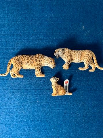 Schleich beeldjes - Jaguar, Witte Tijger, Schildpad, Cheetah beschikbaar voor biedingen
