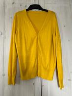 Vestje hema nieuw mt XL, Ophalen of Verzenden, Nieuw, Maat 46/48 (XL) of groter