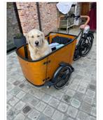 KIDSCAB CARES 4 SUPER HOND CURVE BAKFIETS, Fietsen en Brommers, Fietsen | Bakfietsen, Nieuw, Overige merken, Ophalen of Verzenden