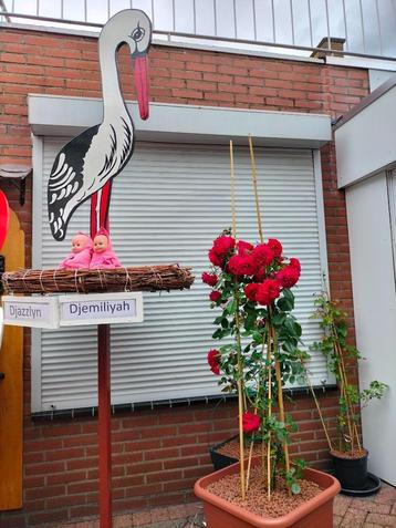 Geboorteborden de mooste en goedkoopste grootste keuze. beschikbaar voor biedingen