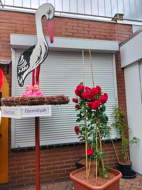 Geboorteborden de mooste en goedkoopste grootste keuze., Kinderen en Baby's, Kraamcadeaus en Geboorteborden, Nieuw, Geboortebord