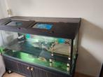 Aquarium terrarium, Dieren en Toebehoren, Reptielen en Amfibieën | Toebehoren, Ophalen of Verzenden, Zo goed als nieuw
