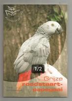 Grijze Roodstaartpapegaai - Ellen Uitenbogaard, Ophalen of Verzenden, Nieuw, Vogels