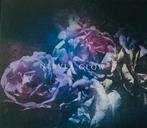 Nebula Glow ‎– Nebula Glow CD, Verzenden, Zo goed als nieuw, Alternative