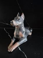 Dobermann pinscher, Ophalen of Verzenden, Zo goed als nieuw
