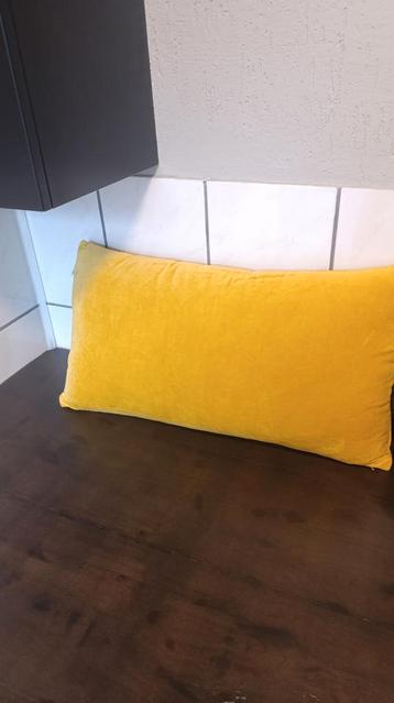 Nieuw sierkussen fluweel, 70x35 cm beschikbaar voor biedingen