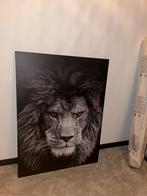 Leeuwen schilderij, Ophalen, Gebruikt, Foto of Poster, 75 cm of meer