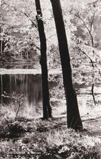 17417 Witven Oisterwijk Noord-Brabant fotokaart 1964, Verzenden, 1960 tot 1980, Ongelopen, Noord-Brabant