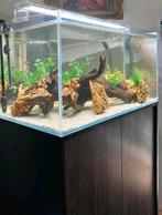Aquarium Scaper 140 L, Dieren en Toebehoren, Vissen | Aquaria en Toebehoren, Ophalen, Zo goed als nieuw, Leeg aquarium