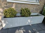 Bloembak, Ophalen, Zo goed als nieuw, Rond, Minder dan 60 cm