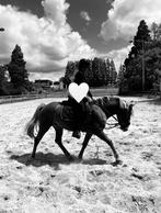 verzorgster/bijrijdster aangeboden!, Dieren en Toebehoren, Ophalen of Verzenden, Nieuw