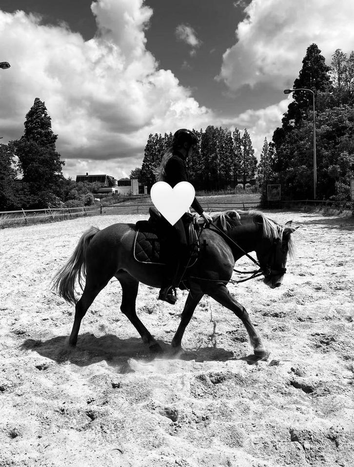 verzorgster/bijrijdster aangeboden!, Dieren en Toebehoren, Paarden en Pony's | Verzorgingsproducten, Nieuw, Ophalen of Verzenden