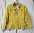 Als nieuw! Giacomo jacket, jas, geel, zomer, maat XL, Kleding | Dames, Jassen | Zomer, Geel, Maat 46/48 (XL) of groter, Ophalen of Verzenden