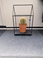 Decoratie huisje, Ophalen