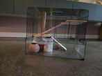 Knaagdieren hok, Dieren en Toebehoren, Gebruikt, Minder dan 75 cm, Hamster, Hok